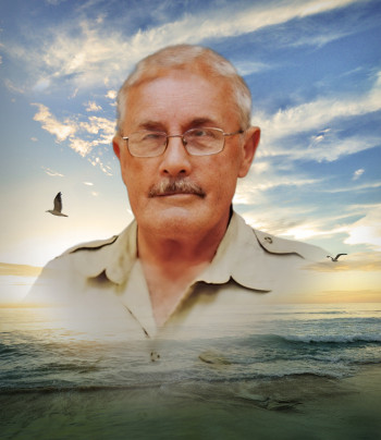 Élide Watson
