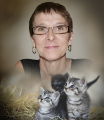 Lynda Cyr
